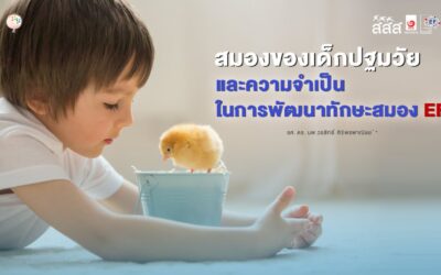 สมองของเด็กปฐมวัย และความจำเป็นในการพัฒนาทักษะสมอง EF